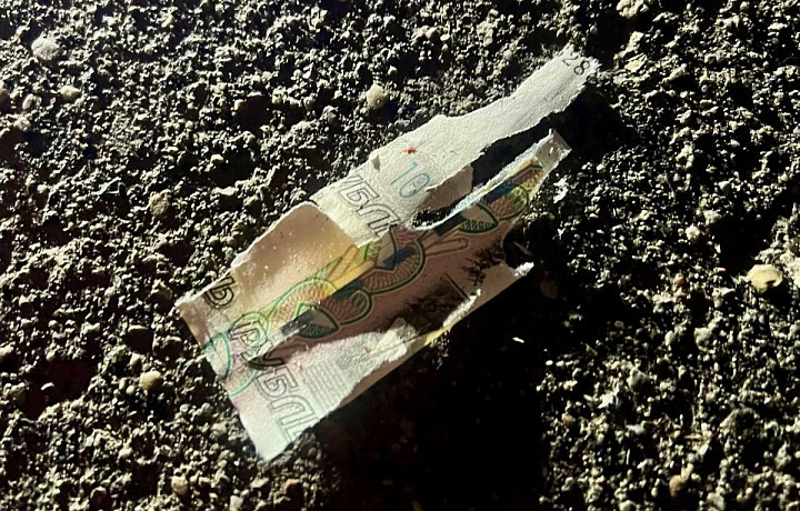 Спасатели предупредили туляков об опасности неизвестных предметов, поднятых на улице