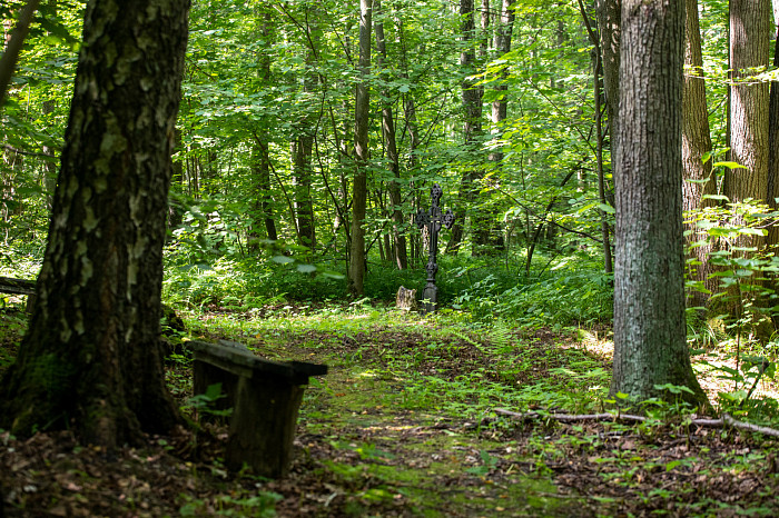 Фоторепортаж из Тесницого леса: как выглядит расстрельный полигон под Тулой