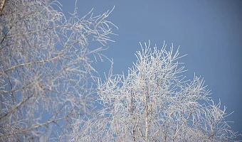 Метеопредупреждение объявлено в Тульской области из-за сильного мороза
