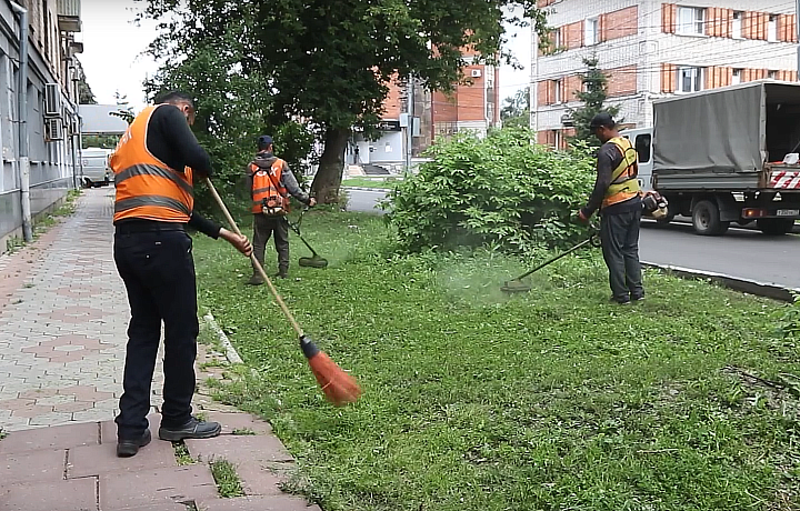 В Туле приводят в порядок газоны