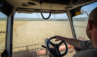В Тульской области медианная зарплата для аграриев в 2025 году составила 96,2 тысячи рублей