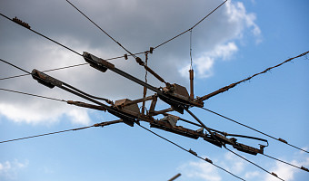 Прохладная и пасмурная погода ждет жителей Тулы и области 11 ноября