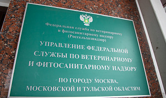 Россельхознадзор выявил нарушение учёта пчёл у главы КФХ в Тульской области