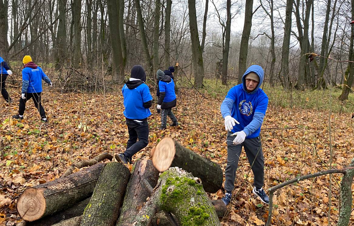 В усадьбе Федяшево Тульской области завершился сезон субботников