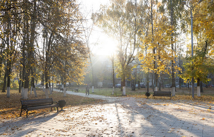 Синоптик Позднякова рассказала, когда первые заморозки придут в центральную часть России