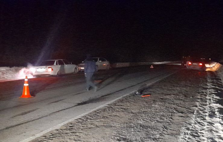 Пешеход погиб на месте ДТП в Щекинском районе Тульской области