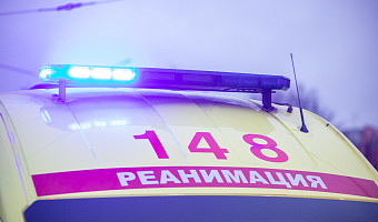 Два человека погибли в ДТП на трассе Тула - Алешня