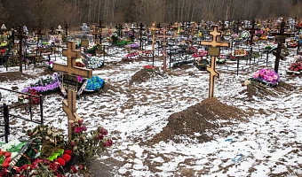 Заполняемость новых кладбищ Тулы меньше чем за год выросла на 5–10%