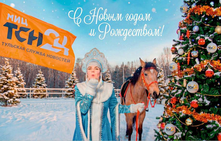 Тульская служба новостей поздравляет читателей с Новым годом!