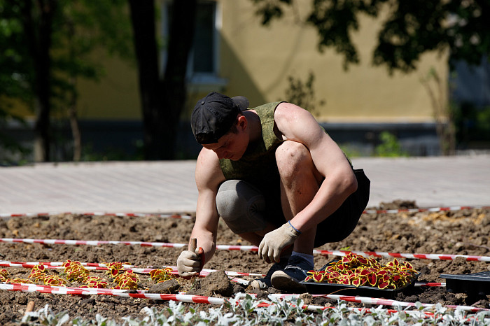 На Славянском бульваре в Туле высадят около 25 тысяч однолетних и многолетних цветов