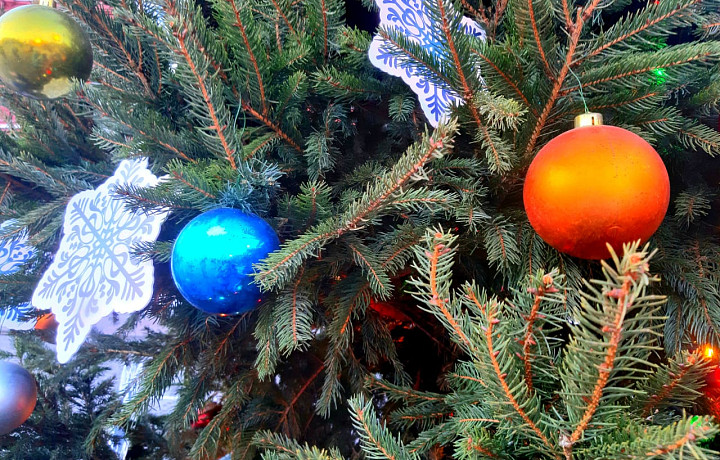 В тульском поселке Новогуровский к новогодним мероприятиям МТС разогнала сеть LTE