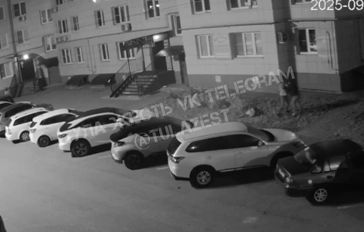 Мужчина избил женщину в тульском микрорайоне Левобережный