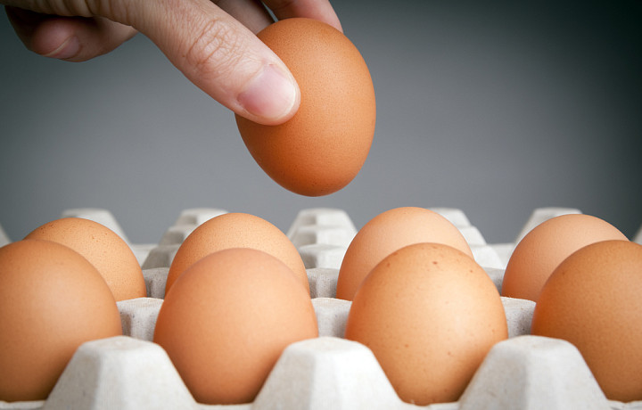 ФАС возбудила дела на производителей яиц из-за повышения их стоимости
