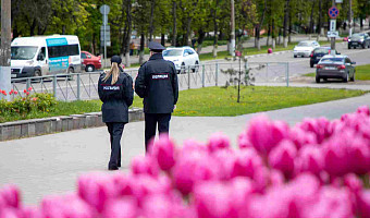 В Тульской области преступность снизилась на 20%