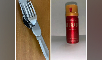 Двое жителей Тульской области пытались пронести в суды запрещенные предметы