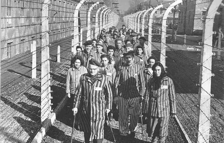 В Тульской области пройдут мероприятия, посвященные неделе памяти жертв холокоста