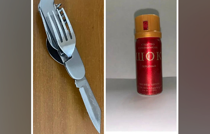 Двое жителей Тульской области пытались пронести в суды запрещенные предметы