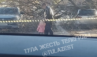 На улице Максима Горького в Туле упавшее дерево повредило два автомобиля