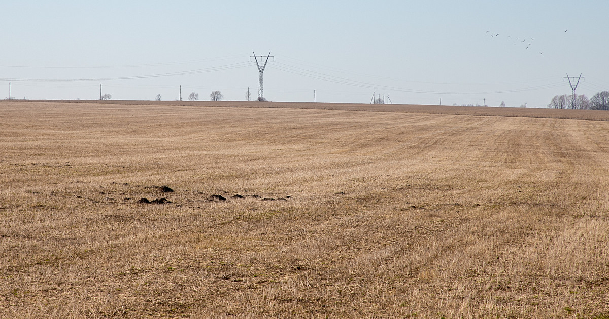 «Золотые земли». Почему одни участки в Туле стоят сто тысяч, другие ...