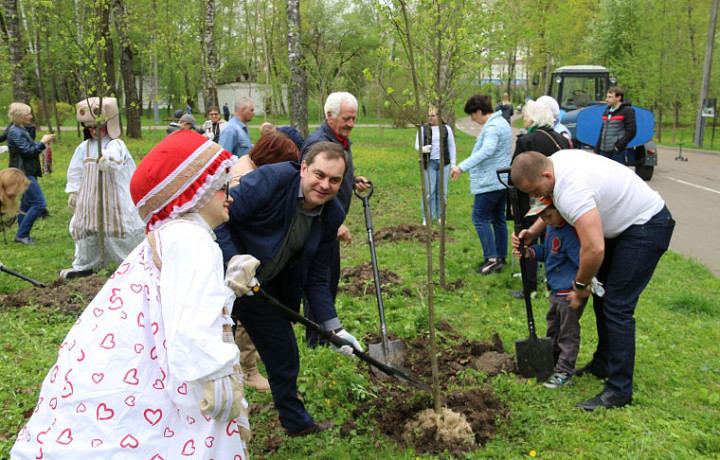 В Комсомольском парке в Туле высадили липы