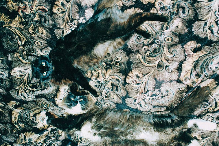 Как сохранить свет в темноте: история юриста, который до потери зрения был успешным фотографом