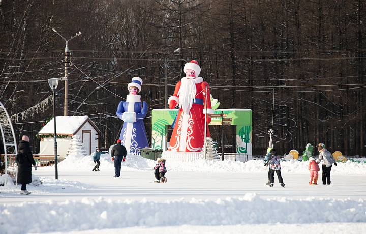 Тульский депутат Балберов призвал сделать 31 декабря выходным днем из-за неэффективности работников