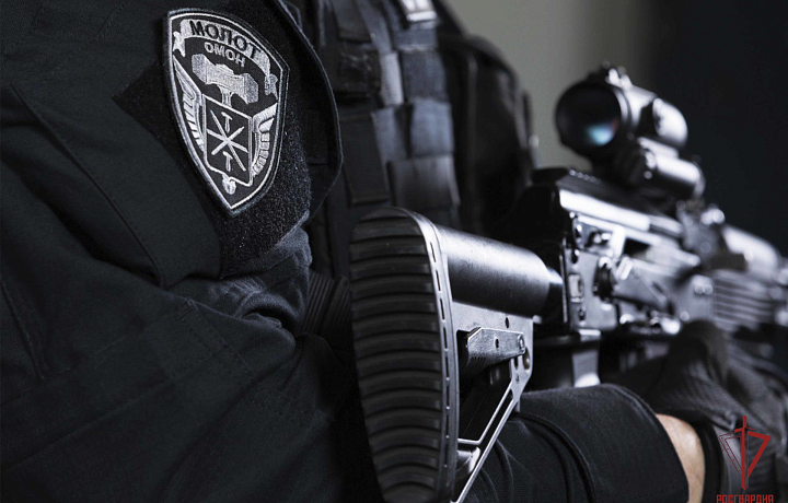 Росгвардейцы задержали в Туле нетрезвого водителя без документов