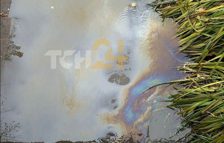 Очевидцы сообщили о масляных пятнах на реке Рогожне в Туле