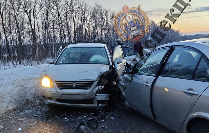 В Дубенском районе Nissan Primera, выехавший на «встречку», врезался в Toyota Premio