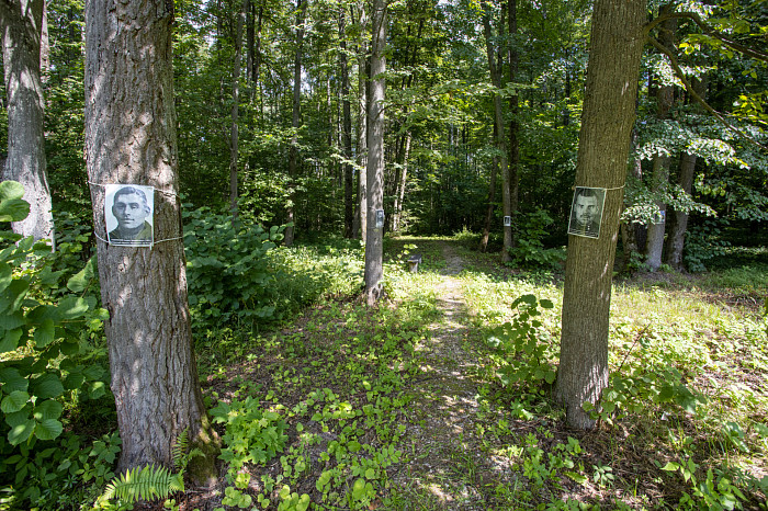 Фоторепортаж из Тесницого леса: как выглядит расстрельный полигон под Тулой