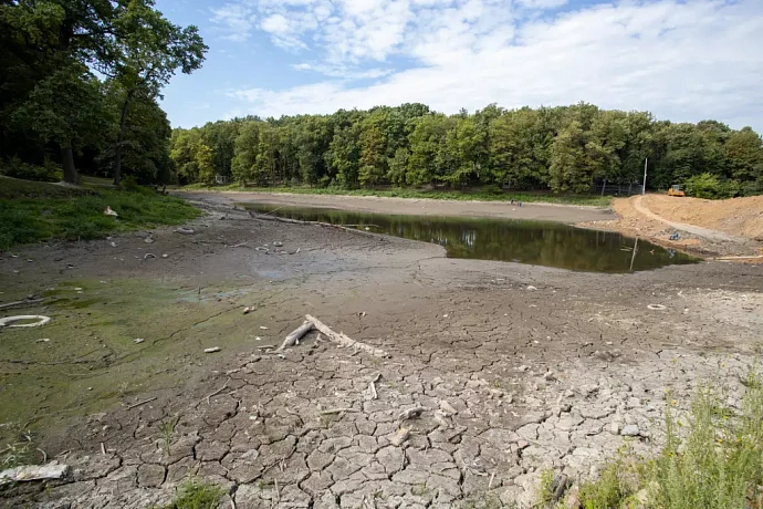 Уровень воды в пруду Платоновского парка Тулы восстановят к октябрю