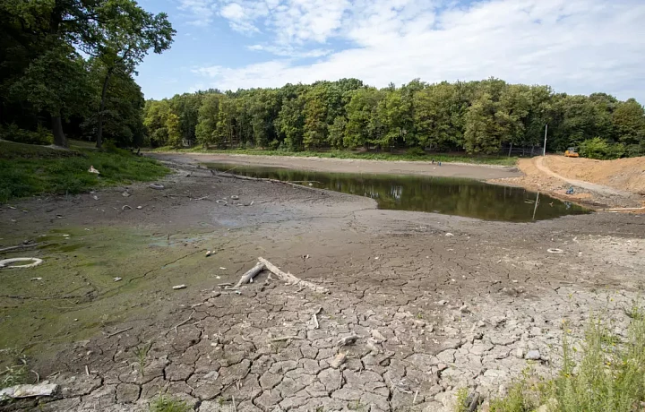 Уровень воды в пруду Платоновского парка Тулы восстановят к октябрю
