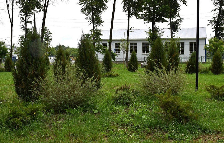 В Щекино завершают второй этап благоустройства сквера 40-летия города