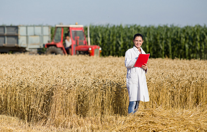 В минсельхозе рассказали, что неблагоприятная погода не повлияла на урожай в Тульской области