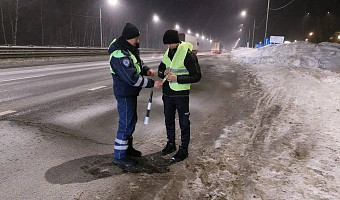 В Туле поймали 160 нарушителей за пять дней рейда «Пешеход»