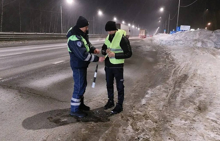 В Туле поймали 160 нарушителей за пять дней рейда «Пешеход»