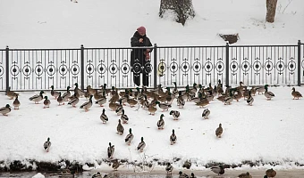 В Тульской области в январе ожидаются «температурные качели»