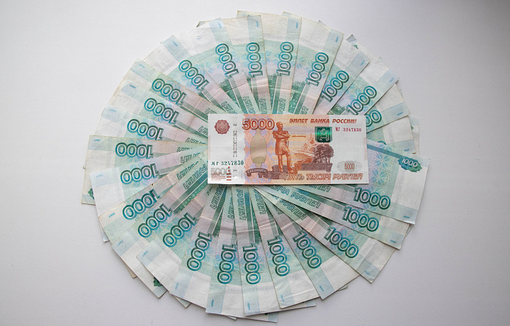 Тульские семьи потратили почти 40 млн рублей из маткапитала на образование детей