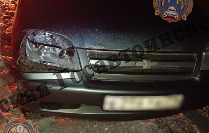 Пешеход погиб на месте ДТП в Тепло-Огаревском районе