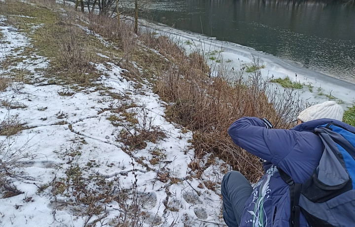 В «Тульских засеках» обнаружили байбака и 18 новых для территории видов птиц