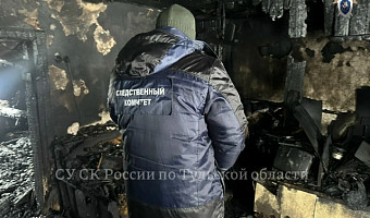 Опубликовано видео с места смертельного пожара в Плавском районе Тульской области