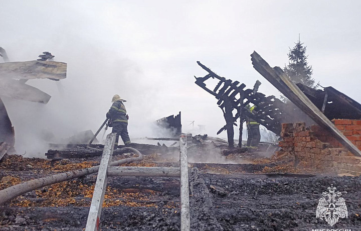В Тульской области потушили шесть пожаров за сутки: погибли два человека