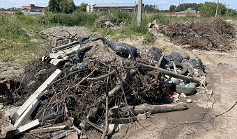 В Новомосковске вновь выявили незаконный сброс отходов рядом с полигоном