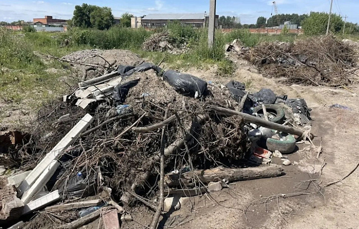 В Новомосковске вновь выявили незаконный сброс отходов рядом с полигоном