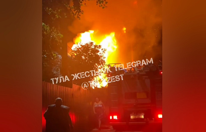 В тульской деревне Бежка сгорел дом ночью 8 августа