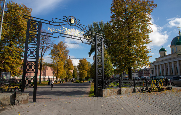 До +20 градусов тепла и ясную погоду без осадков обещают в Туле и области 11 сентября
