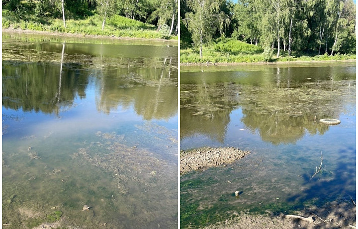 Туляки пожаловались на «загнивающий» пруд в центре города
