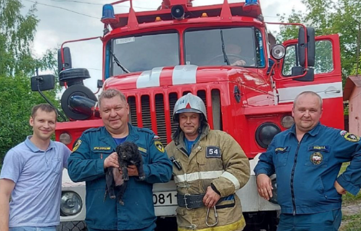 В Болохово сотрудники МЧС спасли щенка