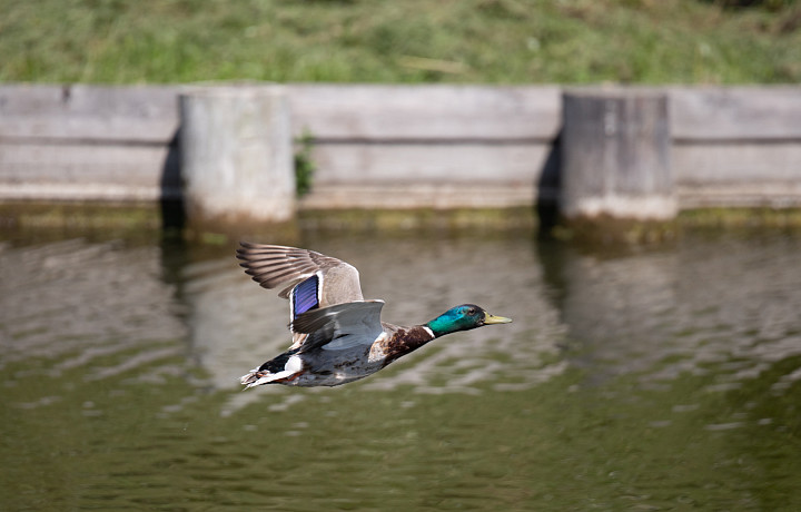 Туляков предупредили о жаркой погоде 9 июня