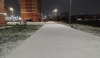 Первый декабрьский снегопад прошел в Туле